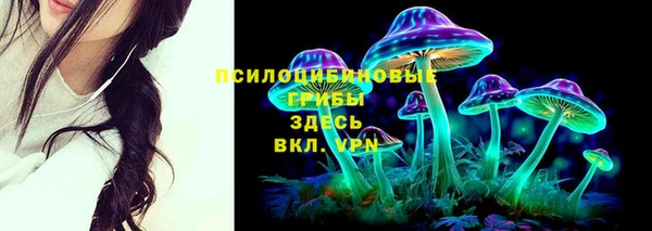 эйфоретик Медногорск