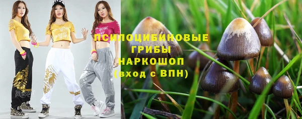 эйфоретик Медногорск