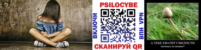 Псилоцибиновые грибы GOLDEN TEACHER  купить   Петров Вал 